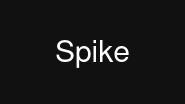 Spike