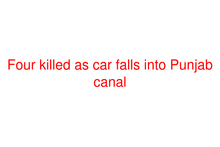 Four Killed As Car Falls Into Punjab Canal Social News Xyz