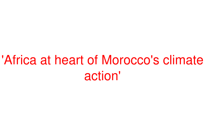 'Africa at heart of Morocco's climate action'