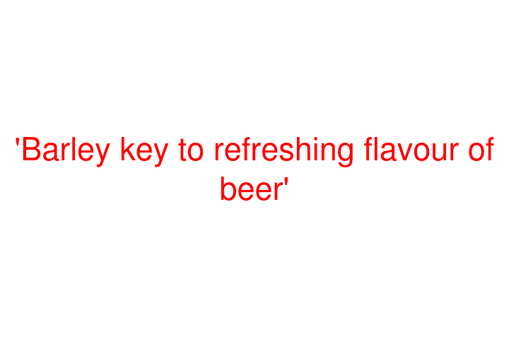 'Barley key to refreshing flavour of beer'