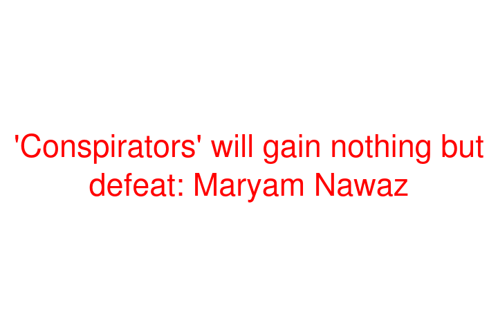 'Conspirators' will gain nothing but defeat: Maryam Nawaz