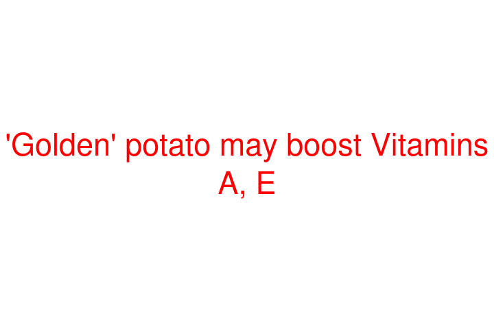 'Golden' potato may boost Vitamins A, E