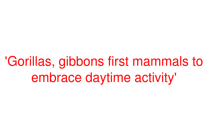 'Gorillas, gibbons first mammals to embrace daytime activity'