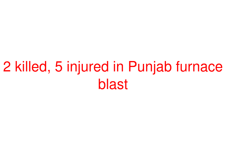 2 killed, 5 injured in Punjab furnace blast