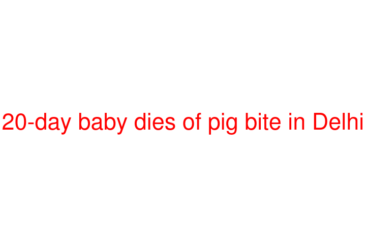 20-day baby dies of pig bite in Delhi