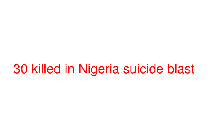 30 killed in Nigeria suicide blast