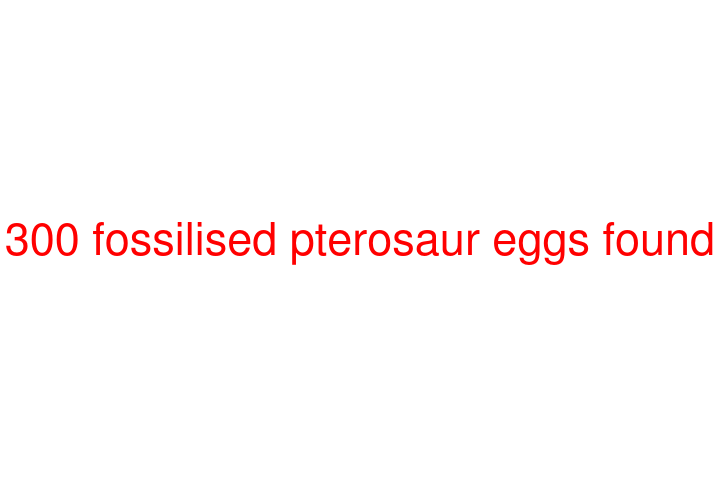 300 fossilised pterosaur eggs found