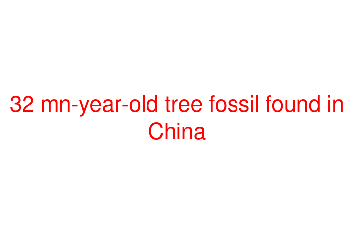 32 mn-year-old tree fossil found in China