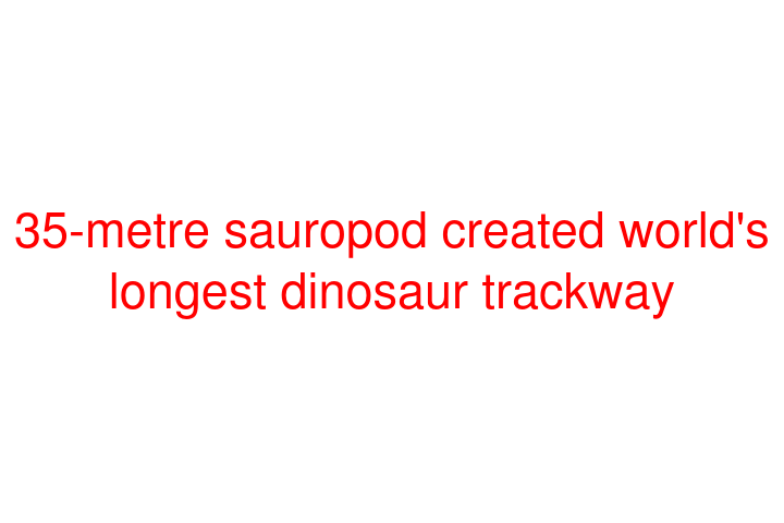 35-metre sauropod created world's longest dinosaur trackway