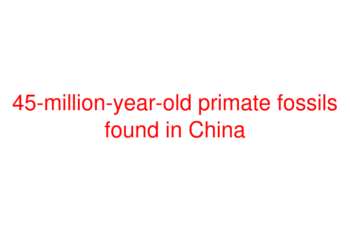 45-million-year-old primate fossils found in China