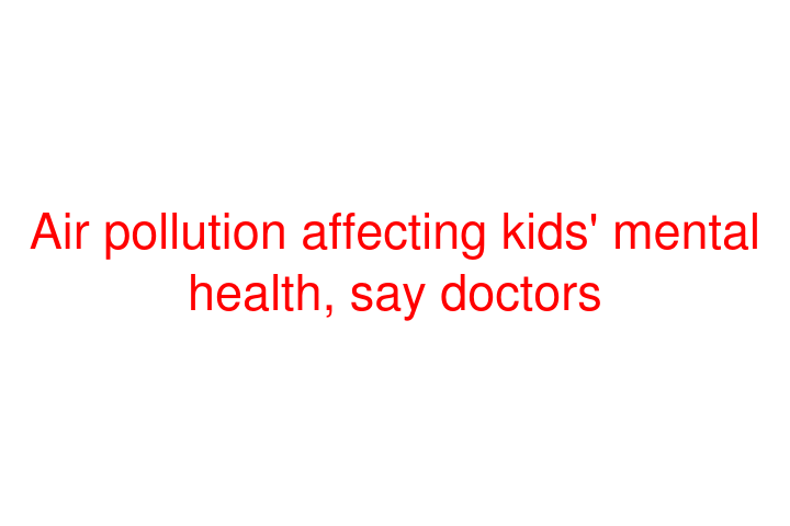 Air pollution affecting kids' mental health, say doctors