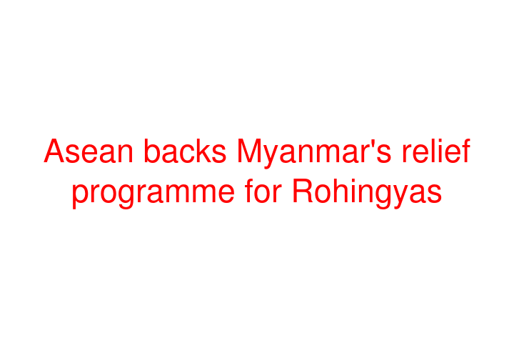 Asean backs Myanmar's relief programme for Rohingyas