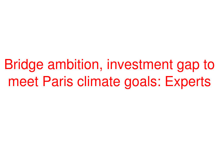 Bridge ambition, investment gap to meet Paris climate goals: Experts