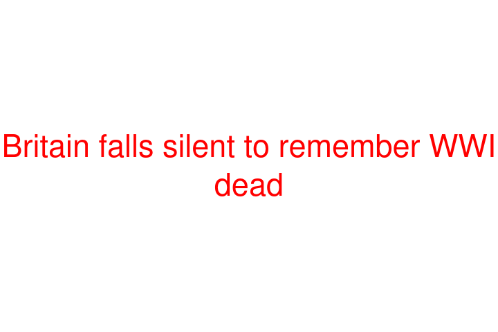 Britain falls silent to remember WWI dead