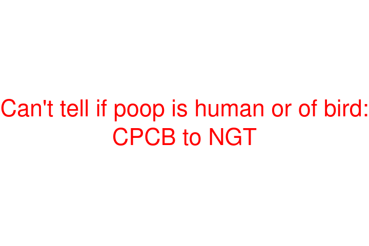 Can't tell if poop is human or of bird: CPCB to NGT