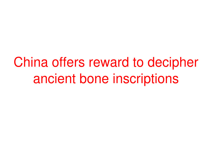 China offers reward to decipher ancient bone inscriptions