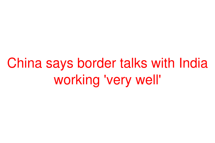 China says border talks with India working 'very well'