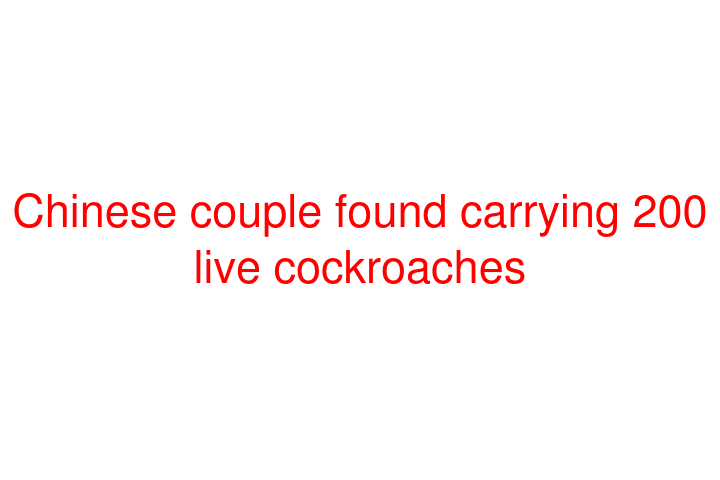 Chinese couple found carrying 200 live cockroaches