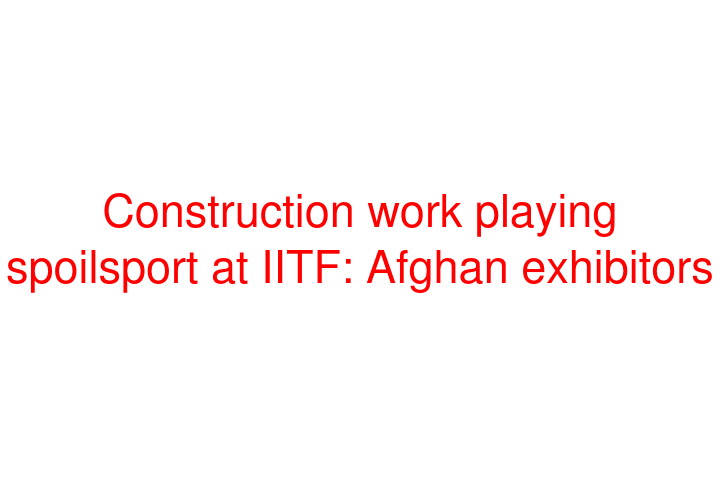 Construction work playing spoilsport at IITF: Afghan exhibitors