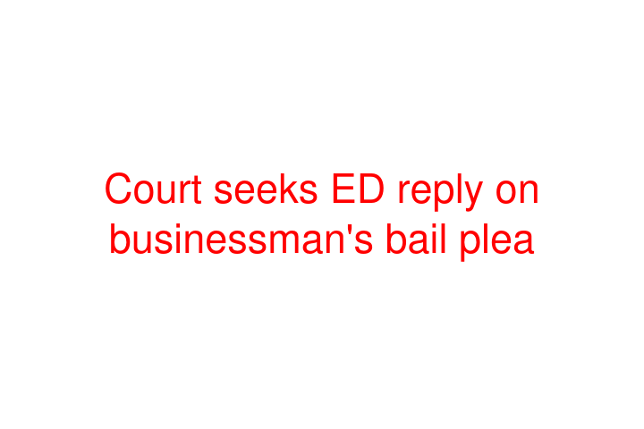Court seeks ED reply on businessman's bail plea