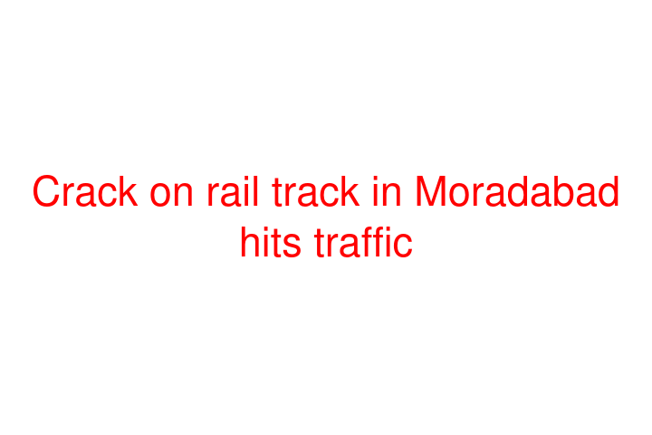 Crack on rail track in Moradabad hits traffic