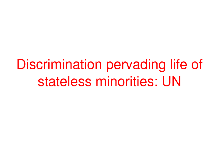 Discrimination pervading life of stateless minorities: UN