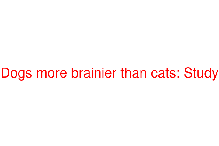 Dogs more brainier than cats: Study