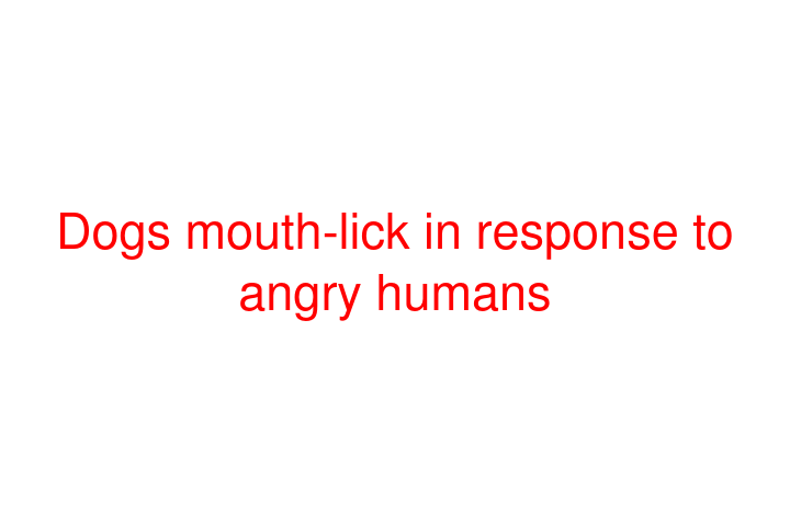 Dogs mouth-lick in response to angry humans