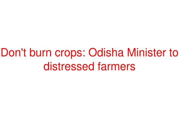 Don't burn crops: Odisha Minister to distressed farmers