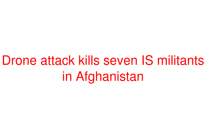 Drone attack kills seven IS militants in Afghanistan