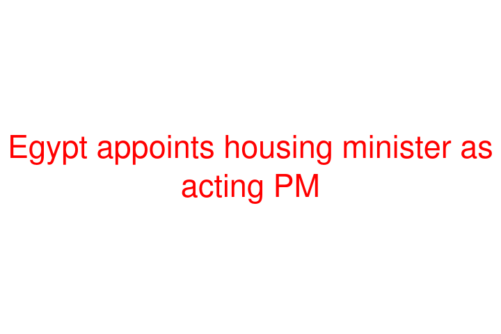 Egypt appoints housing minister as acting PM