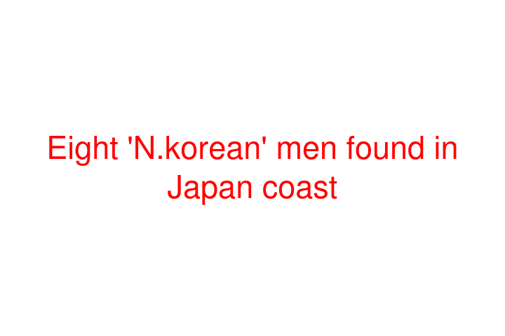 Eight 'N.korean' men found in Japan coast