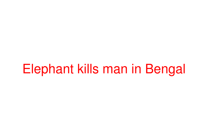 Elephant kills man in Bengal