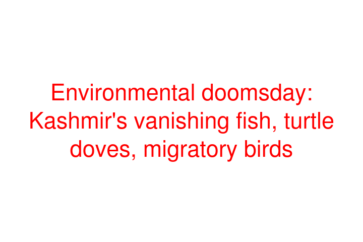 Environmental doomsday: Kashmir's vanishing fish, turtle doves, migratory birds