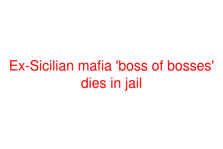 Ex-Sicilian mafia 'boss of bosses' dies in jail