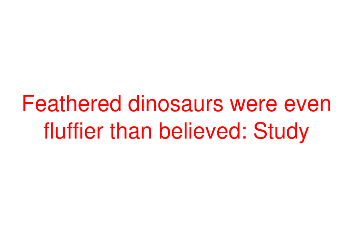 Feathered dinosaurs were even fluffier than believed: Study