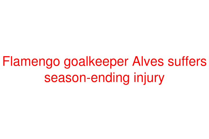 Flamengo goalkeeper Alves suffers season-ending injury