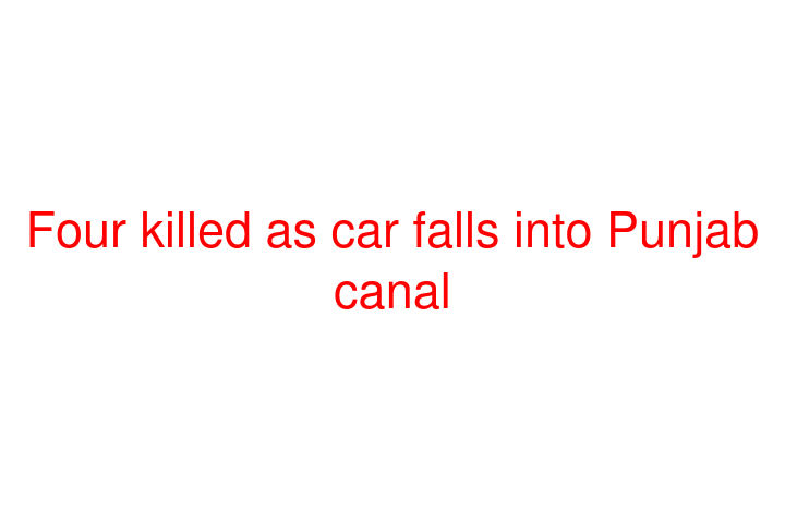 Four killed as car falls into Punjab canal