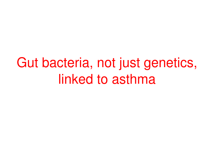 Gut bacteria, not just genetics, linked to asthma