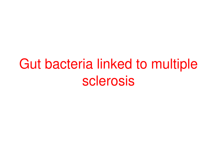 Gut bacteria linked to multiple sclerosis