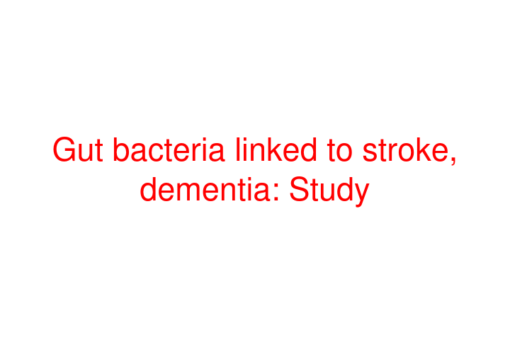 Gut bacteria linked to stroke, dementia: Study