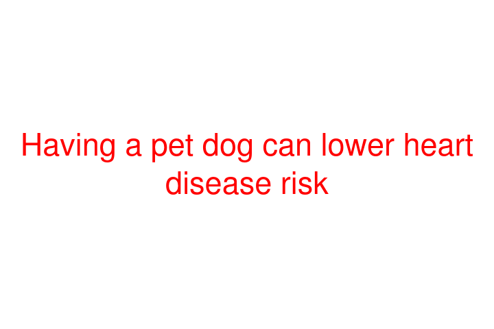 Having a pet dog can lower heart disease risk