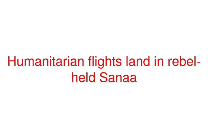 Humanitarian flights land in rebel-held Sanaa