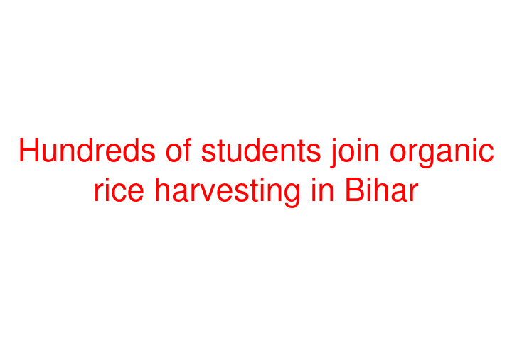 Hundreds of students join organic rice harvesting in Bihar