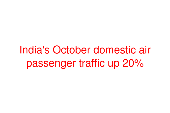 India's October domestic air passenger traffic up 20%