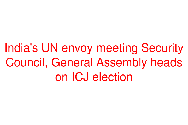India's UN envoy meeting Security Council, General Assembly heads on ICJ election