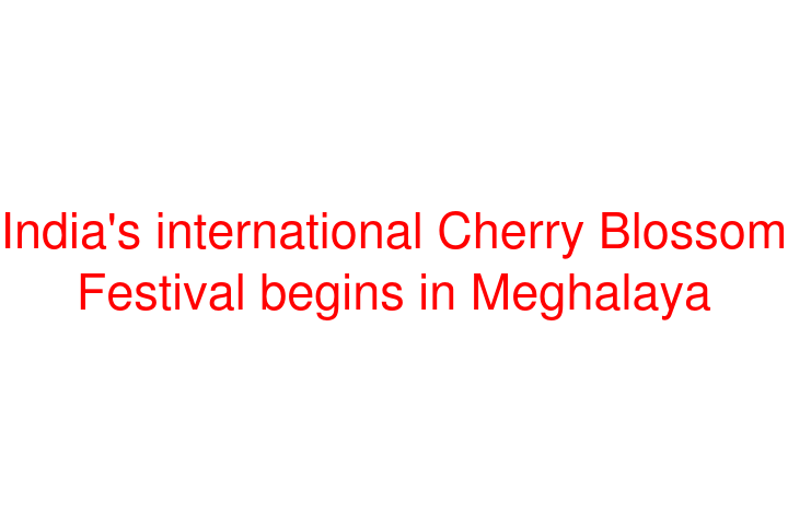 India's international Cherry Blossom Festival begins in Meghalaya