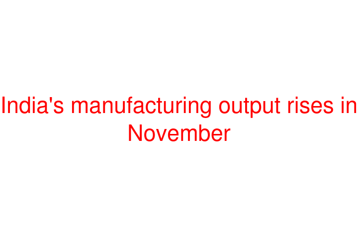 India's manufacturing output rises in November