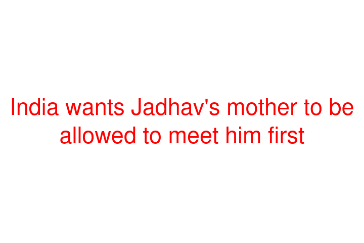 India wants Jadhav's mother to be allowed to meet him first