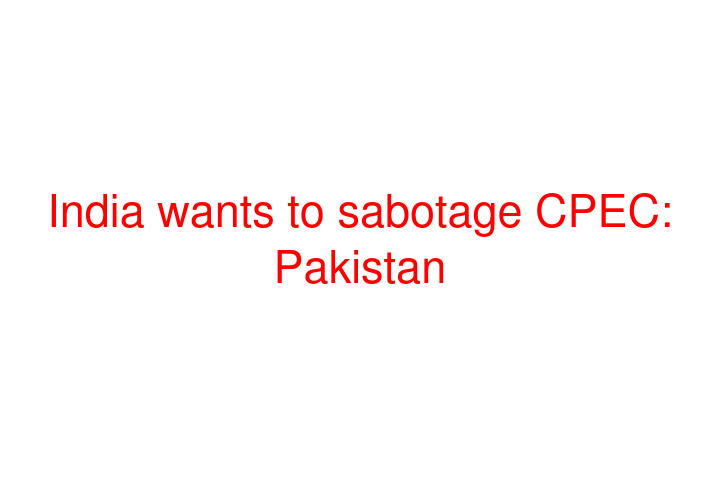 India wants to sabotage CPEC: Pakistan